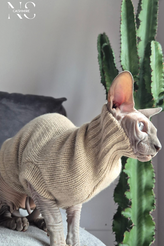 Cashmere per cani e gatti